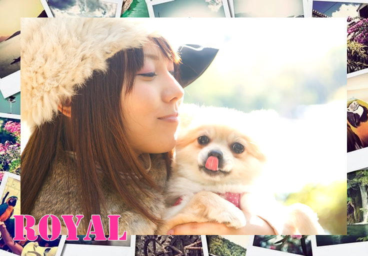 飛田新地求人【ロイヤル】